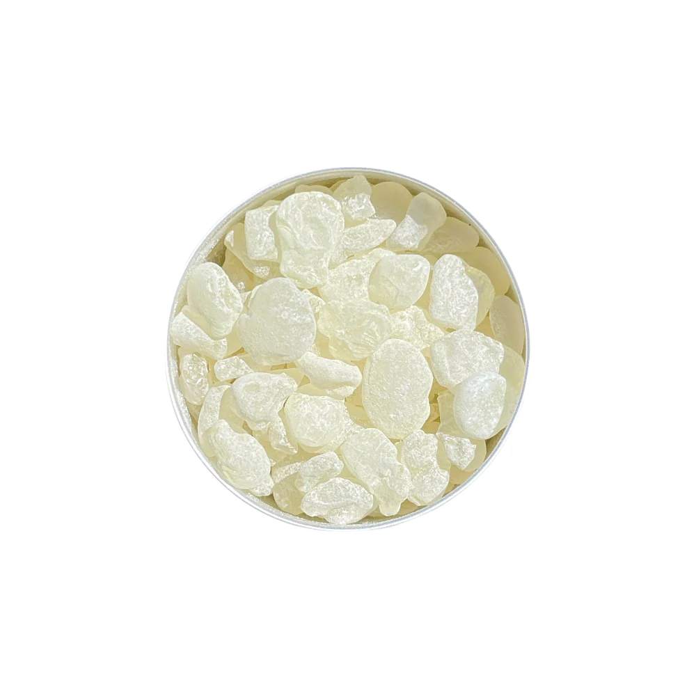 BRIKK MastiGum® - 2